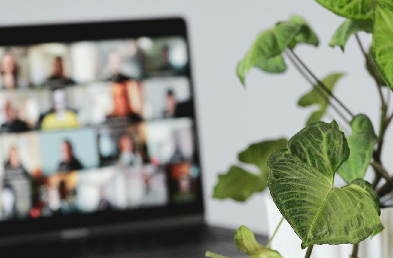 A stylishly out-of-focus image of a laptop running a large virtual college class of at least 20 students.